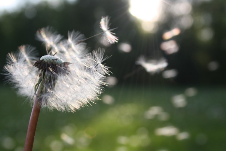 Klimaanlagenreinigung gegen Allergien Klimaanlagenreinigung gegen Allergien
